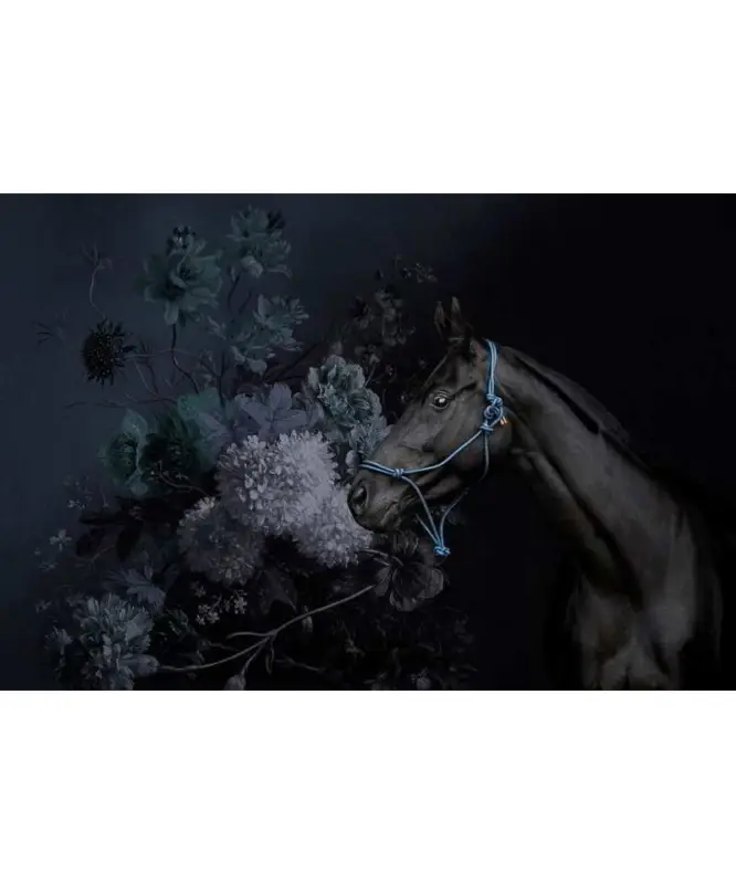 Horses 2 Compra Online