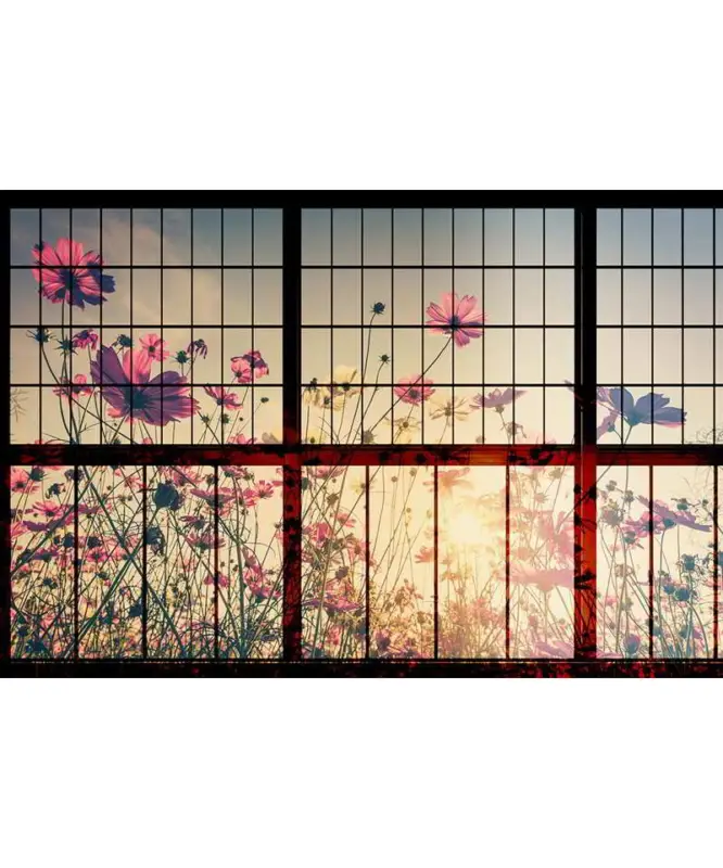 Meadow 1 Quantità Limitata