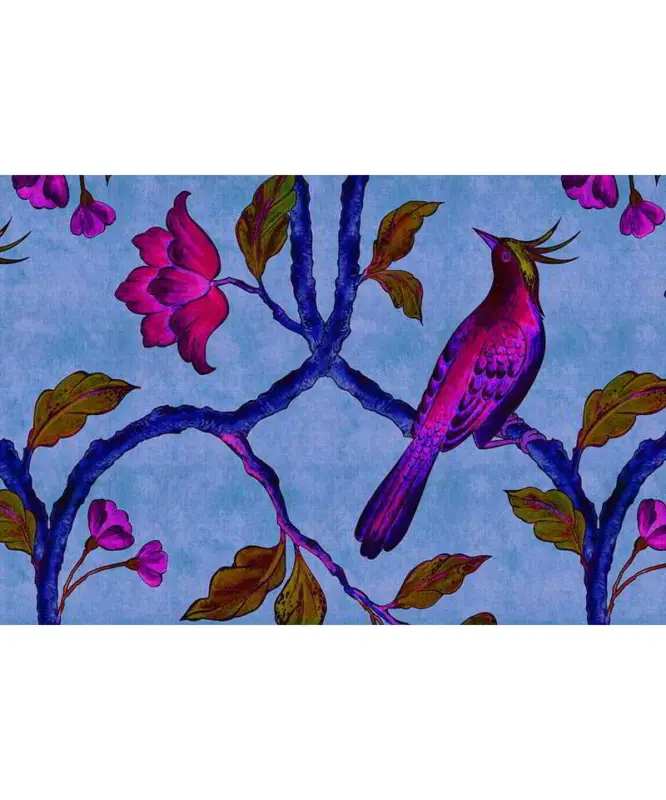 Birdofparadis1 Spedito Oggi
