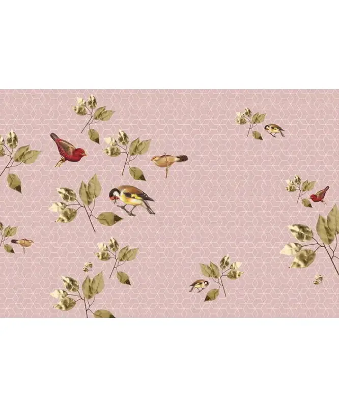 Brillantbirds1 Sconto