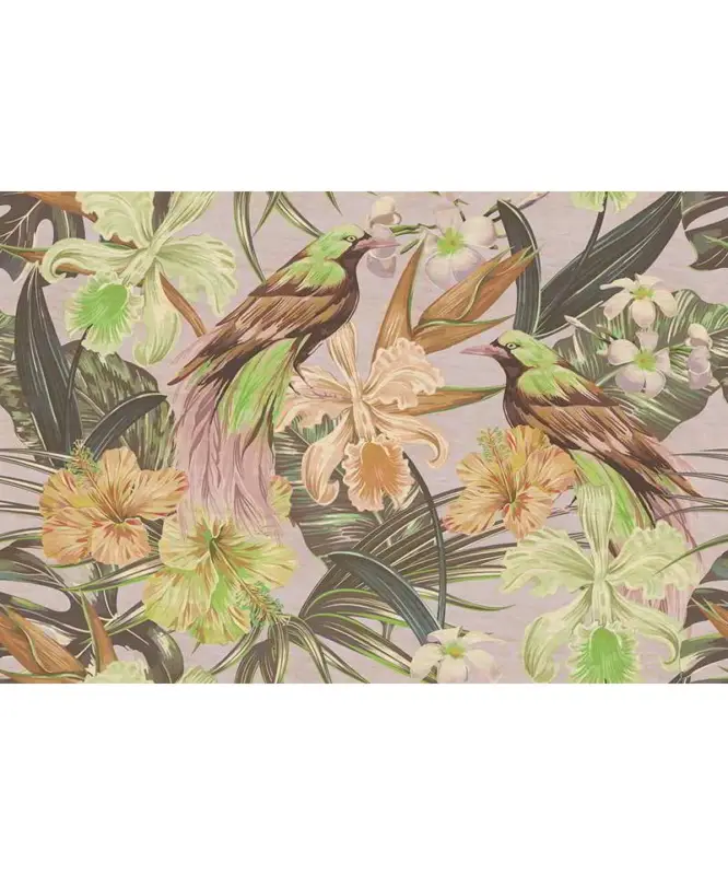 Offerta Speciale Exotic Birds 2