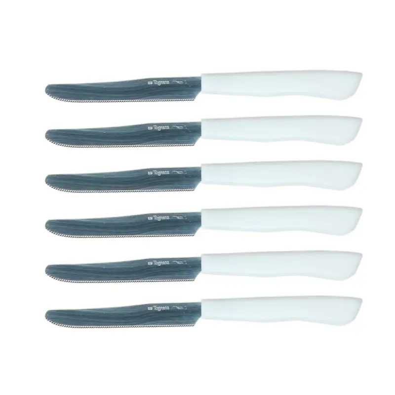 6 coltelli tavola Tognana Sconto