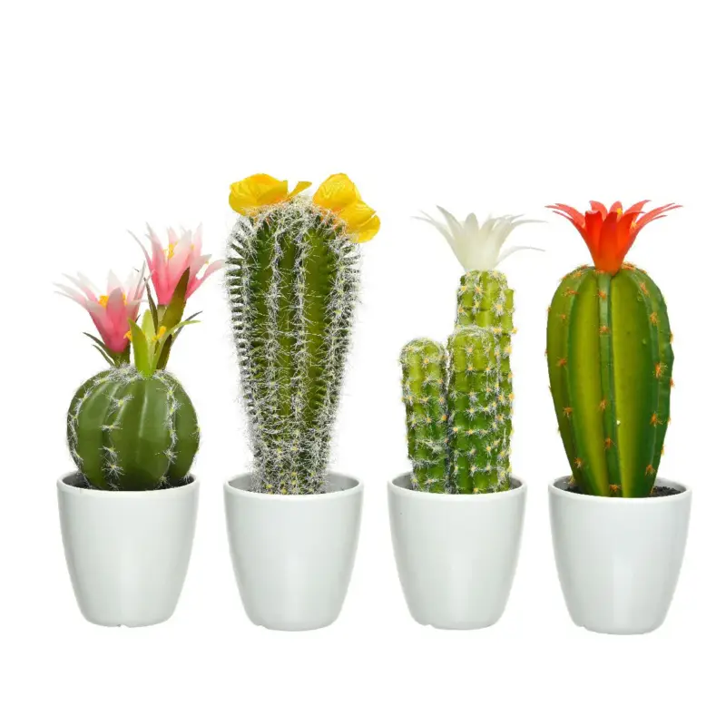 Cactus in vaso 7,50x24 cm Offerta