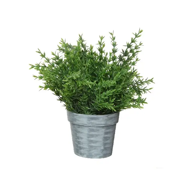 Pianta in vaso fantasia 2 Promozione