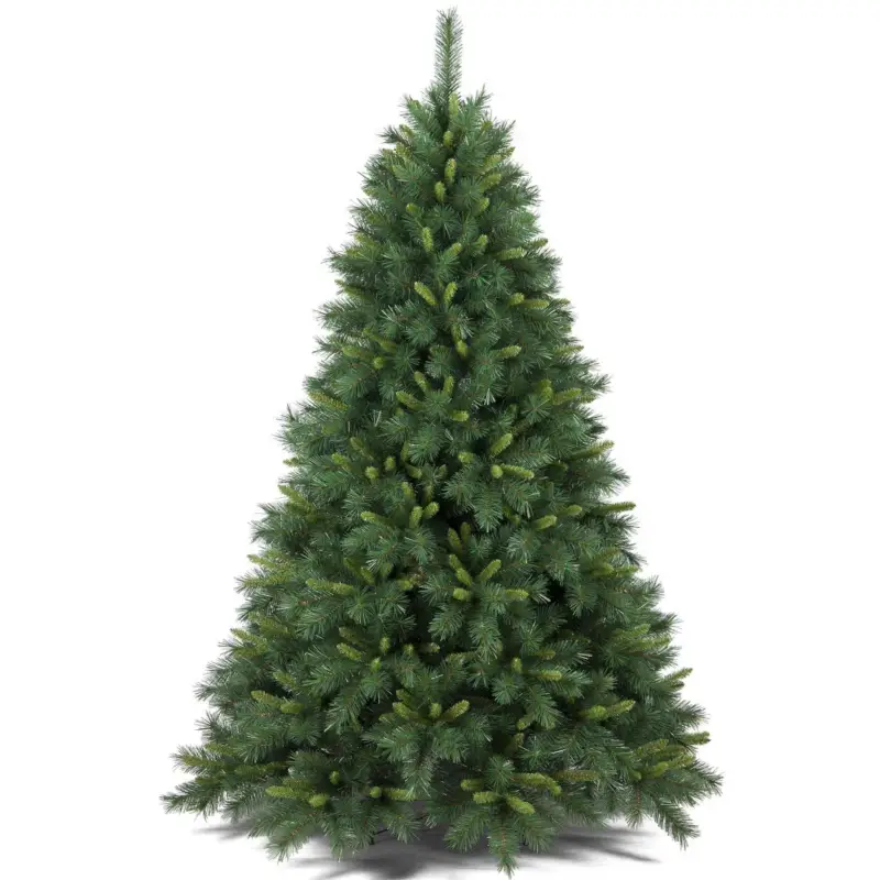 Compra Adesso Albero Napapijri