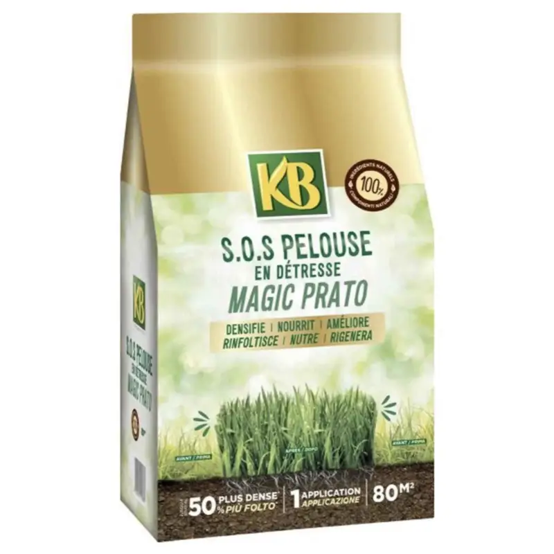 Magic prato 4Kg Acquista Ora