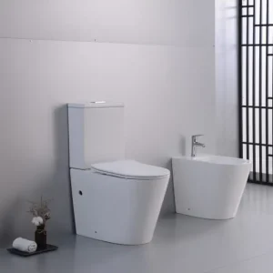 Quantità Limitata WOLLY - Vaso rimless monoblocco coprivaso e bidet a terra filomuro