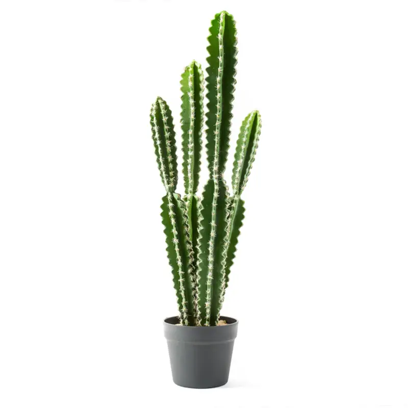 Compra Adesso Cactus in vaso grande pianta grassa artificiale per interno ed esterno Ø 16 x h 75 cm