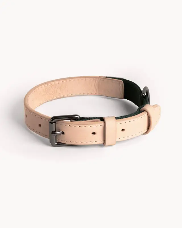 Reso Gratuito Collare per cani Colour Block